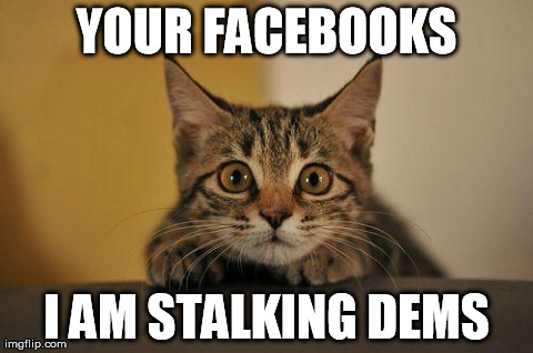YOUR FACEBOOKS I AM STALKING DEMS | image tagged in facebook,stalker,cats | made w/ Imgflip meme maker