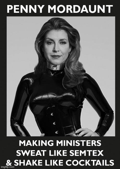 Penny For PM! | image tagged in penny mordaunt,latex,mistress,prime minister,penny,mordaunt | made w/ Imgflip meme maker