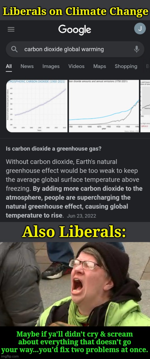 Stop contributing to global warming lefties!!! | Liberals on Climate Change; Also Liberals:; Maybe if ya'll didn't cry & scream about everything that doesn't go your way...you'd fix two problems at once. | image tagged in 'liberal' 'adults' scream at the sky | made w/ Imgflip meme maker