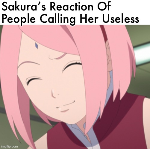 Sakura When She’s Being Called Useless | Sakura’s Reaction Of People Calling Her Useless | image tagged in sakura haruno/uchiha angry smirk,memes,sakura,smirk | made w/ Imgflip meme maker