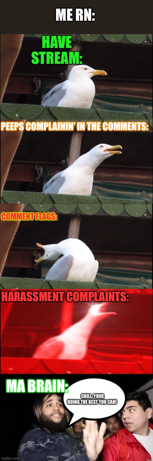 AAAAAAAAHAHHHHH |  ME RN:; HAVE STREAM:; PEEPS COMPLAININ’ IN THE COMMENTS:; COMMENT FLAGS:; HARASSMENT COMPLAINTS:; MA BRAIN:; CHILL, YOUR DOING THE BEST YOU CAN! | image tagged in memes,inhaling seagull,daddy chill | made w/ Imgflip meme maker