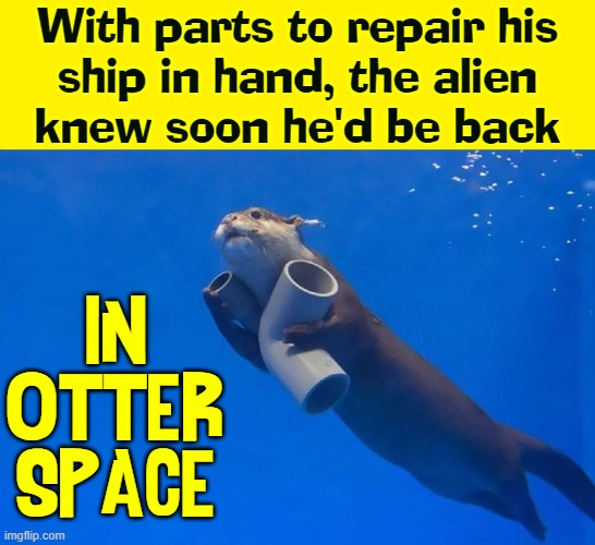 "My Time on Earth" by Hairy Otter, space alien | With parts to repair his
ship in hand, the alien
knew soon he'd be back; IN OTTER SPACE | image tagged in vince vance,space aliens,otters,repairs,rocket ship,memes | made w/ Imgflip meme maker