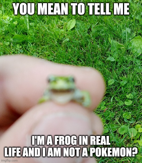 Pokemon frog | YOU MEAN TO TELL ME; I'M A FROG IN REAL LIFE AND I AM NOT A POKEMON? | image tagged in pokemon go meme | made w/ Imgflip meme maker
