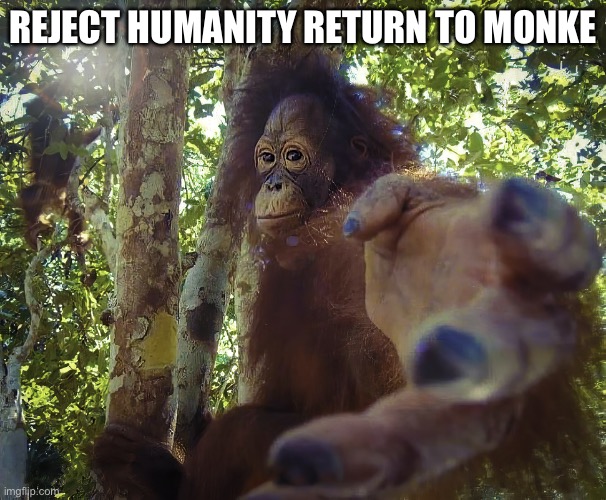 Return to monke (clean version) | REJECT HUMANITY RETURN TO MONKE | image tagged in return to monke clean version | made w/ Imgflip meme maker