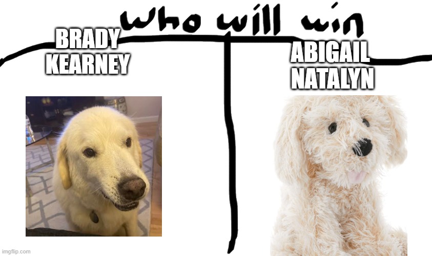 Brady versus Abigail Natalyn! | BRADY
KEARNEY; ABIGAIL 
NATALYN | image tagged in who will win,dog,tom and spike fighting | made w/ Imgflip meme maker