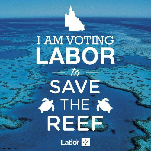 image tagged in labor reef | made w/ Imgflip meme maker