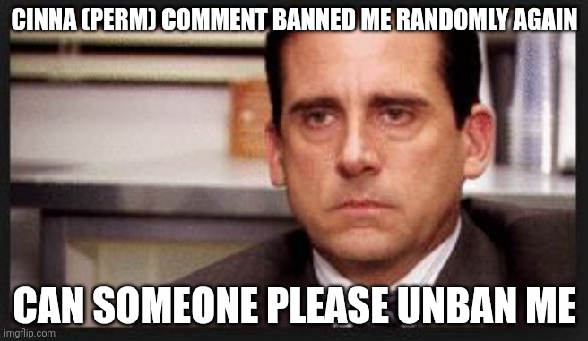 irritated | CINNA (PERM) COMMENT BANNED ME RANDOMLY AGAIN; CAN SOMEONE PLEASE UNBAN ME | image tagged in irritated | made w/ Imgflip meme maker