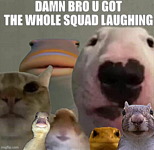 The council remastered | DAMN BRO U GOT THE WHOLE SQUAD LAUGHING | image tagged in the council remastered | made w/ Imgflip meme maker