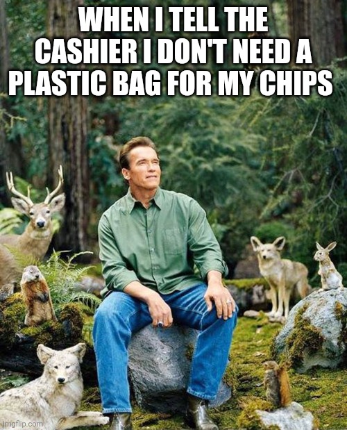 Arnold nature | WHEN I TELL THE CASHIER I DON'T NEED A PLASTIC BAG FOR MY CHIPS | image tagged in arnold nature,mother nature | made w/ Imgflip meme maker