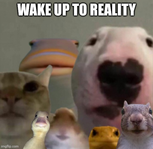 The council remastered | WAKE UP TO REALITY | image tagged in the council remastered | made w/ Imgflip meme maker