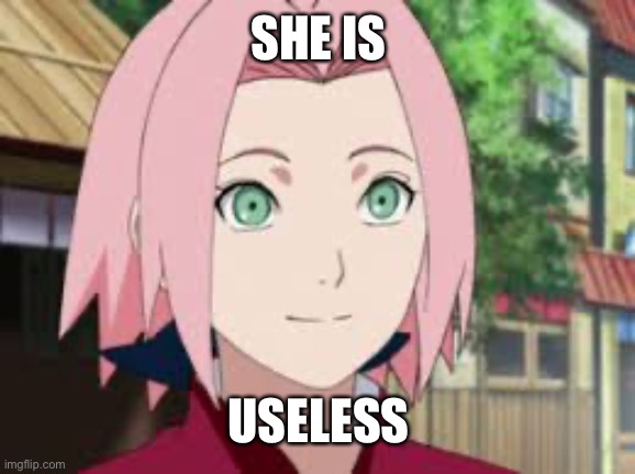 True | SHE IS; USELESS | made w/ Imgflip meme maker