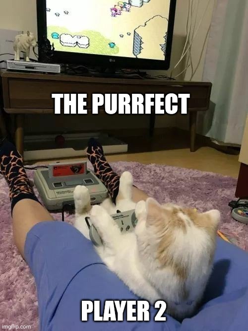 KITTY GETS TO PLAY NINTENDO! | THE PURRFECT; PLAYER 2 | image tagged in memes,cats,video games,snes,nintendo,gaming | made w/ Imgflip meme maker