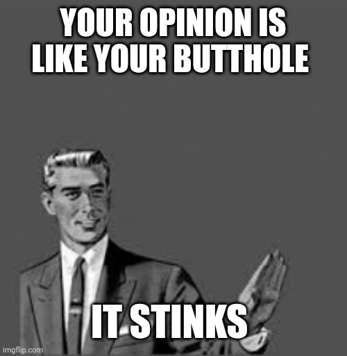 Let me stop you right there | YOUR OPINION IS LIKE YOUR BUTTHOLE; IT STINKS | image tagged in let me stop you right there | made w/ Imgflip meme maker