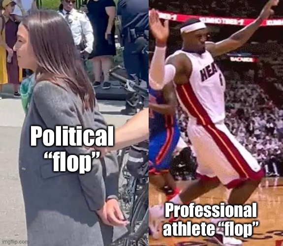 Whatever it takes to buy the groceries | Political “flop”; Professional athlete “flop” | image tagged in politics lol,memes,derp | made w/ Imgflip meme maker