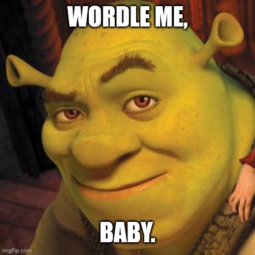 Shrek Sexy Face | WORDLE ME, BABY. | image tagged in shrek sexy face | made w/ Imgflip meme maker