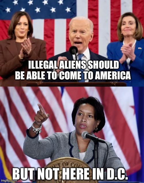We Don’t Want Illegal Aliens In D.C. | ILLEGAL ALIENS SHOULD BE ABLE TO COME TO AMERICA; BUT NOT HERE IN D.C. | image tagged in build a wall,liberal hypocrisy,rules for thee | made w/ Imgflip meme maker