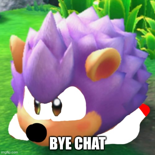 Kirby Sonic | BYE CHAT | image tagged in kirby sonic | made w/ Imgflip meme maker