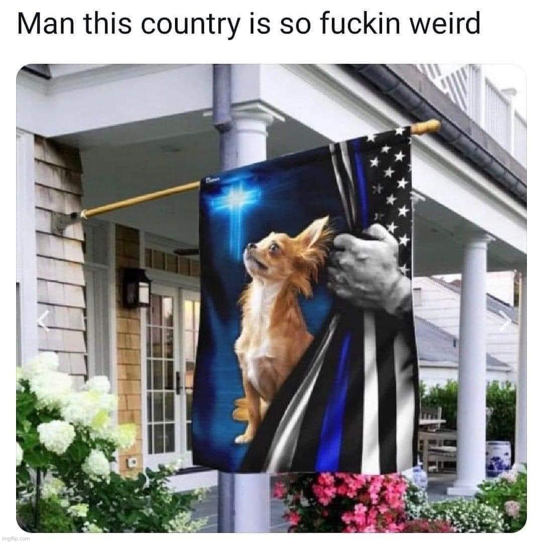Welcome to ‘Murica. Also: wtf | image tagged in blue lives matter doggo,'murica,murica,freedom in murica,blue lives matter,wot | made w/ Imgflip meme maker