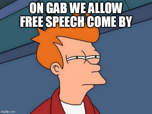 Futurama Fry Meme | ON GAB WE ALLOW FREE SPEECH COME BY | image tagged in memes,futurama fry | made w/ Imgflip meme maker