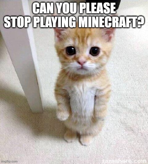 Cute Cat | CAN YOU PLEASE STOP PLAYING MINECRAFT? | image tagged in memes,cute cat,president_joe_biden | made w/ Imgflip meme maker
