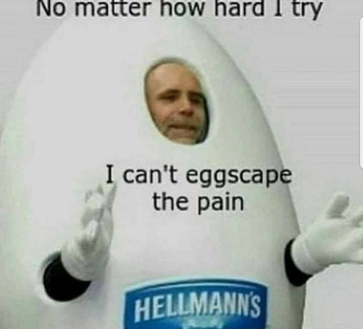 Can’t eggscape the pain Blank Meme Template