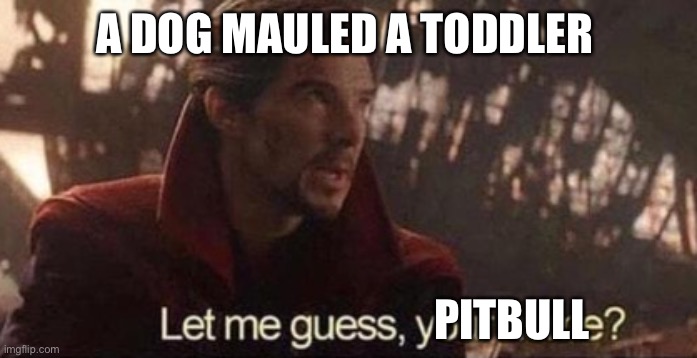Pitbull surprise | A DOG MAULED A TODDLER; PITBULL | image tagged in let me guess your home | made w/ Imgflip meme maker