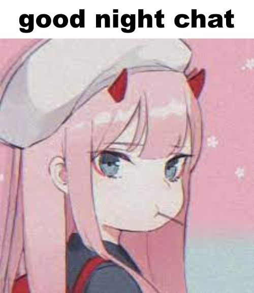 zero two good night chat Blank Meme Template