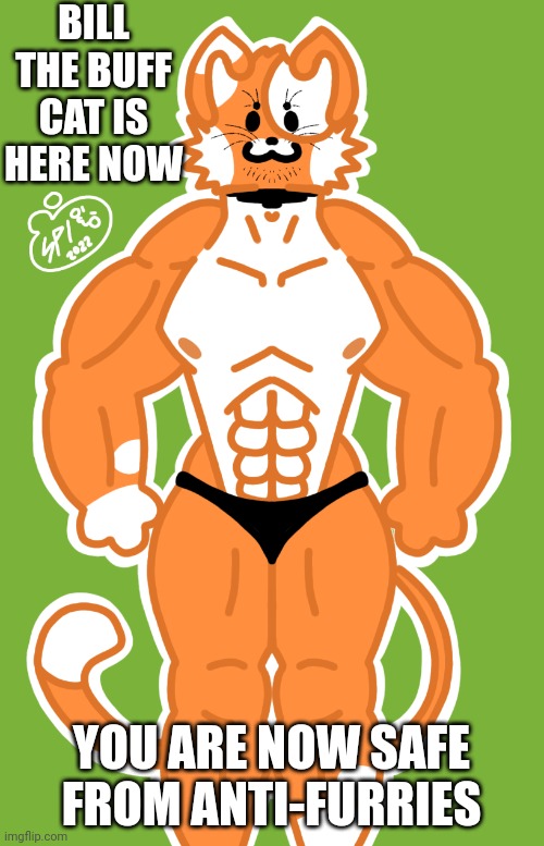 Hehehe first template ;v; | BILL THE BUFF CAT IS HERE NOW; YOU ARE NOW SAFE FROM ANTI-FURRIES | image tagged in bill the buff cat | made w/ Imgflip meme maker