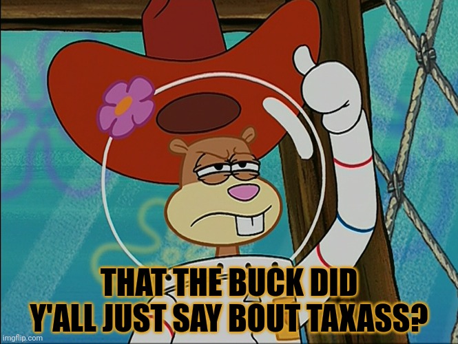 Sandy Cheeks | THAT THE BUCK DID Y'ALL JUST SAY BOUT TAXASS? | image tagged in sandy cheeks | made w/ Imgflip meme maker