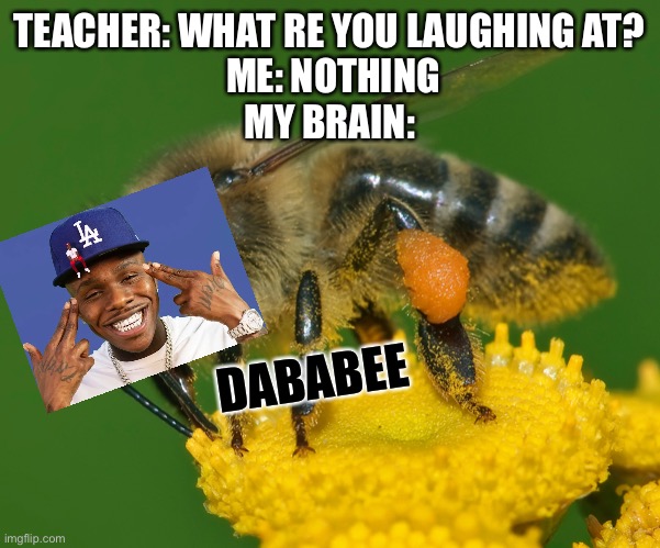 Dababy bee | TEACHER: WHAT RE YOU LAUGHING AT?
 ME: NOTHING
MY BRAIN:; DABABEE | image tagged in dababy | made w/ Imgflip meme maker