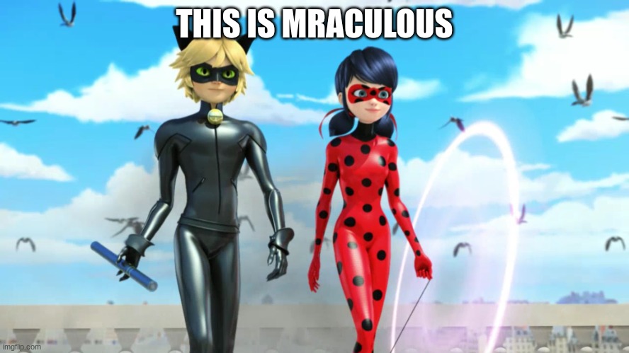 Miraculous Ladybug and Cat Noir (Chat Noir) | THIS IS MRACULOUS | image tagged in miraculous ladybug and cat noir chat noir | made w/ Imgflip meme maker