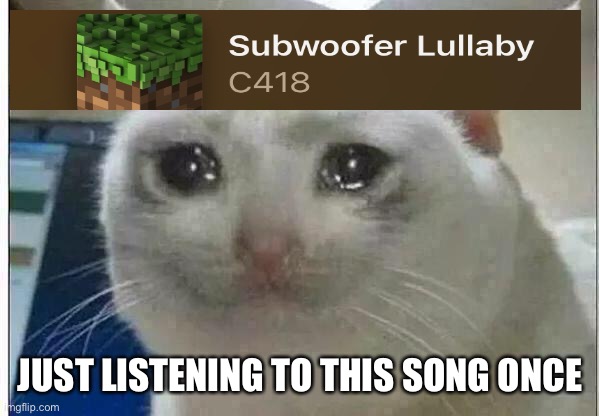 So true | JUST LISTENING TO THIS SONG ONCE | image tagged in crying cat,minecraft,funny,so true memes,true,memes | made w/ Imgflip meme maker