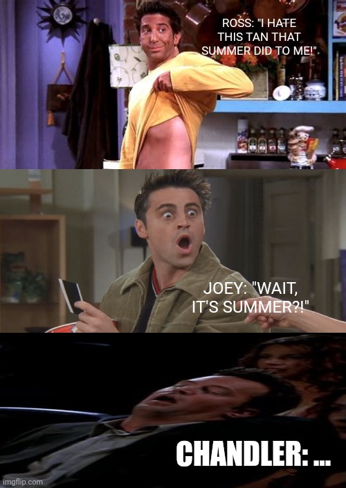 Friends: Summer is for Sleep | ROSS: "I HATE THIS TAN THAT SUMMER DID TO ME!"; JOEY: "WAIT, IT'S SUMMER?!"; CHANDLER: ... | image tagged in memes | made w/ Imgflip meme maker