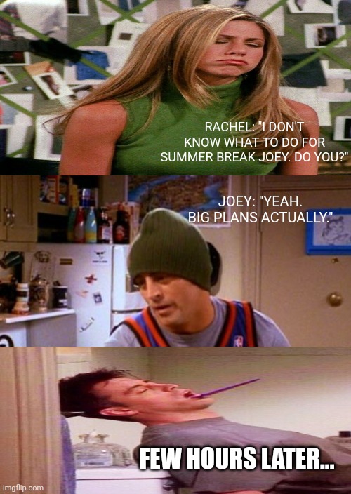 Friends: No Plan? | RACHEL: "I DON'T KNOW WHAT TO DO FOR SUMMER BREAK JOEY. DO YOU?"; JOEY: "YEAH. BIG PLANS ACTUALLY."; FEW HOURS LATER... | image tagged in memes | made w/ Imgflip meme maker
