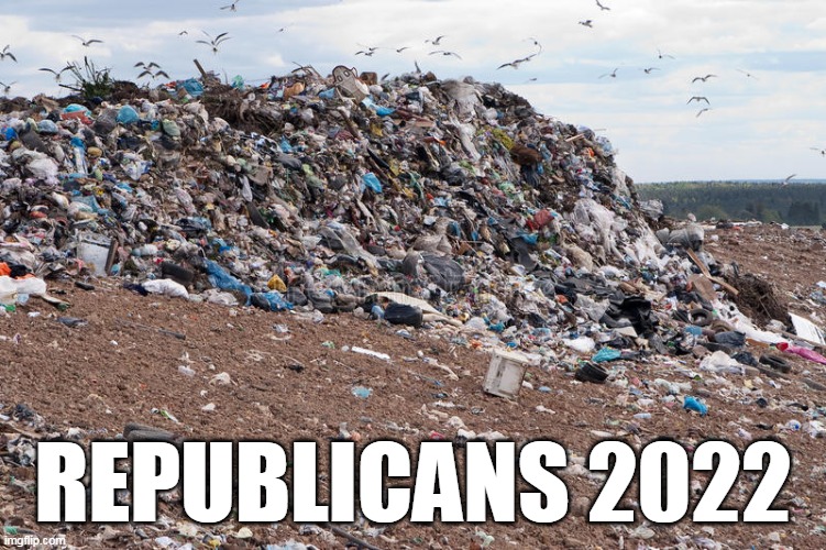 F Republicans | REPUBLICANS 2022 | image tagged in scumbag republicans | made w/ Imgflip meme maker