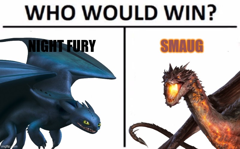 Dragon fight #1 | NIGHT FURY; SMAUG | image tagged in how to train your dragon,lord of the rings,dragon,crossover,who would win | made w/ Imgflip meme maker