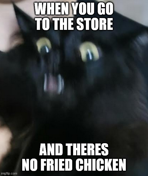 fried chicken | WHEN YOU GO TO THE STORE; AND THERES NO FRIED CHICKEN | image tagged in fried chicken,cat,sami,funny,upvote | made w/ Imgflip meme maker