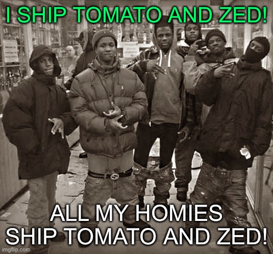 All My Homies Love | I SHIP TOMATO AND ZED! ALL MY HOMIES SHIP TOMATO AND ZED! | image tagged in all my homies love | made w/ Imgflip meme maker