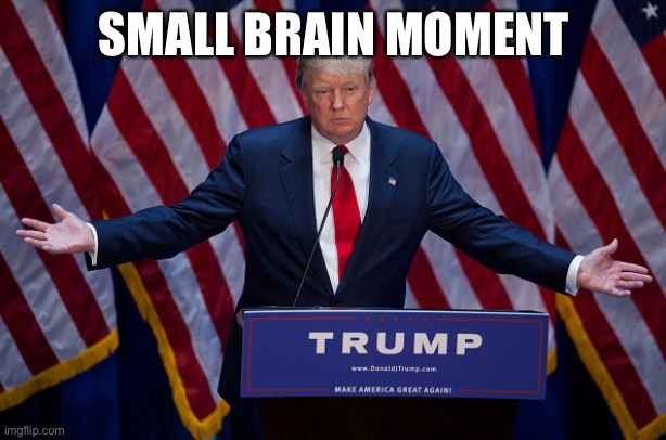 Donald Trump | SMALL BRAIN MOMENT | image tagged in donald trump | made w/ Imgflip meme maker