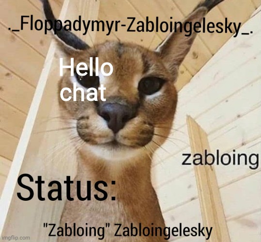 No status 4 you bitches :) | Hello chat | image tagged in zabloingelesky's annoucment temp | made w/ Imgflip meme maker