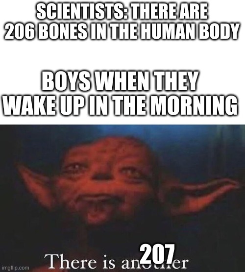 There is another | SCIENTISTS: THERE ARE 206 BONES IN THE HUMAN BODY; BOYS WHEN THEY WAKE UP IN THE MORNING; 207 | image tagged in there is another | made w/ Imgflip meme maker