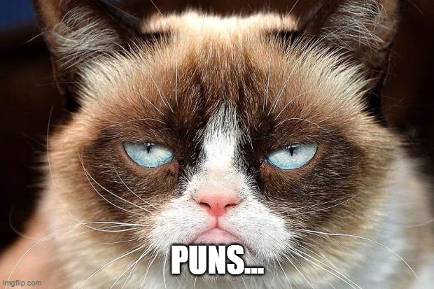 Grumpy cat glare | PUNS... | image tagged in grumpy cat glare | made w/ Imgflip meme maker