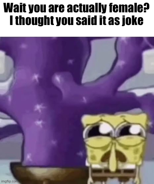 Zad Spunchbop | Wait you are actually female? I thought you said it as joke | image tagged in zad spunchbop | made w/ Imgflip meme maker