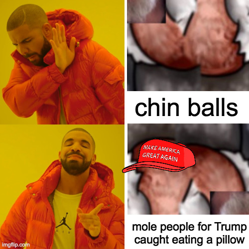 Drake Hotline Bling Meme | chin balls mole people for Trump caught eating a pillow | image tagged in memes,drake hotline bling | made w/ Imgflip meme maker