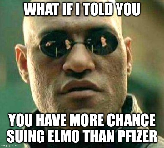 Suing pfizer | WHAT IF I TOLD YOU; YOU HAVE MORE CHANCE SUING ELMO THAN PFIZER | image tagged in what if i told you | made w/ Imgflip meme maker