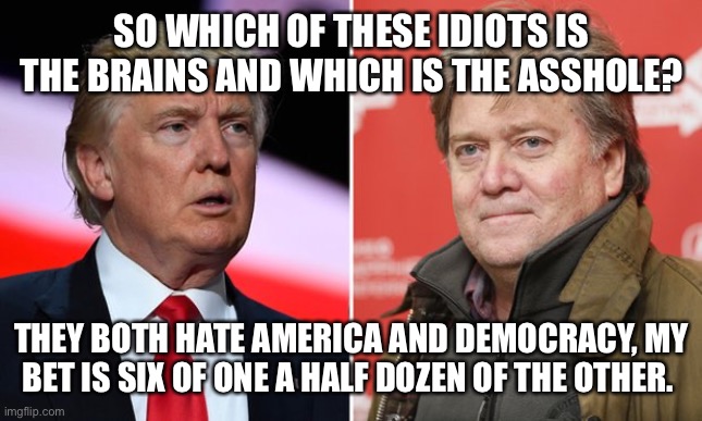 Trump/Bannon | SO WHICH OF THESE IDIOTS IS THE BRAINS AND WHICH IS THE ASSHOLE? THEY BOTH HATE AMERICA AND DEMOCRACY, MY BET IS SIX OF ONE A HALF DOZEN OF THE OTHER. | image tagged in trump/bannon | made w/ Imgflip meme maker