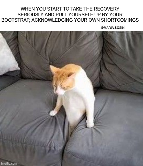 "pull yourself up by your bootstrap" cat |  WHEN YOU START TO TAKE THE RECOVERY SERIOUSLY AND PULL YOURSELF UP BY YOUR BOOTSTRAP, ACKNOWLEDGING YOUR OWN SHORTCOMINGS; @MARIA.SOSIN | image tagged in grumpy cat,stuck cat,cat,couch | made w/ Imgflip meme maker