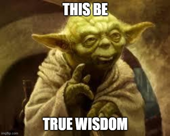 THIS BE TRUE WISDOM | image tagged in yoda | made w/ Imgflip meme maker