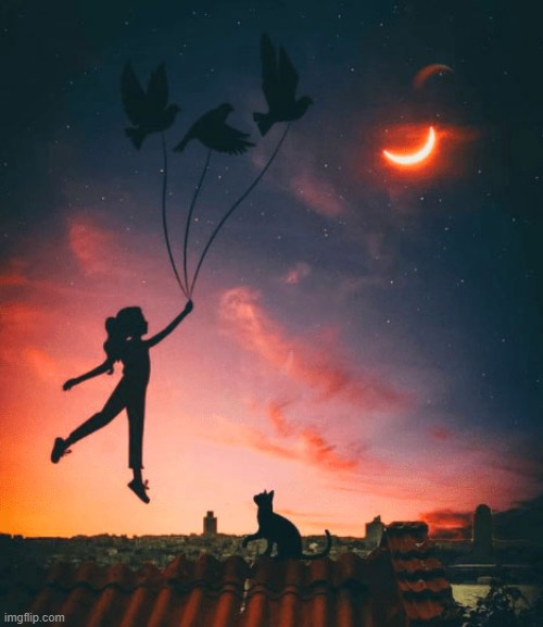 image tagged in awesome | made w/ Imgflip meme maker