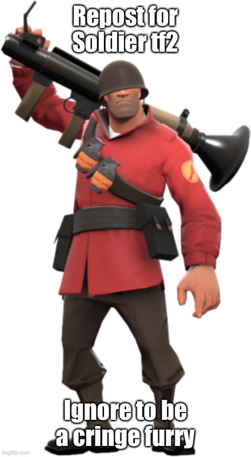 (Funny note: didn’t ignore) | Repost for Soldier tf2; Ignore to be a cringe furry | image tagged in soldier tf2 | made w/ Imgflip meme maker